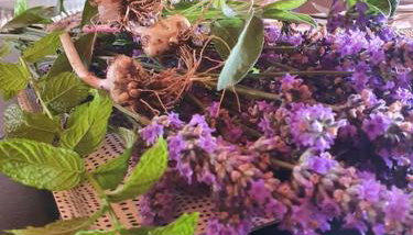 Villa anno 1911 - Foto 2