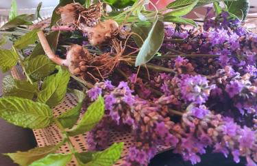 Villa anno 1911 - Foto 2