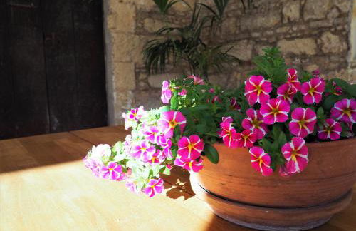 Cream Loft Siente Jerez Parking Incluido - Foto 35