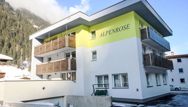 Alpenrose - Foto 2, House