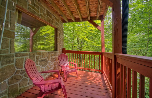 Mountain Laurel - Foto 15