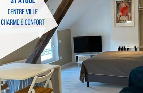 Studio Saint Ayoul - Foto 1