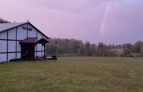 Siedlisko na łące - Foto 23