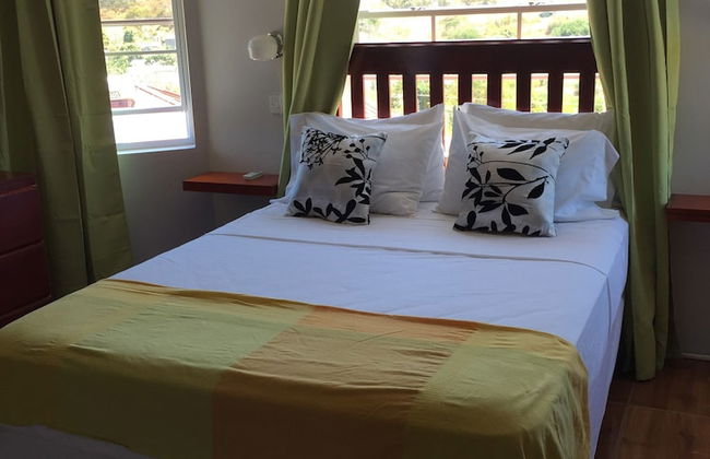 La Heliconia - Foto 7