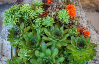 House Stone - Foto 11