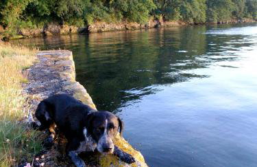 Bay Cottage & Bay Stables - Photo 27
