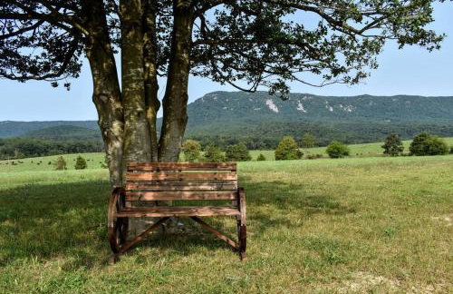 Holly Tree Retreat Located In Beautiful Luray, VA. - Foto 6