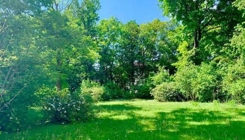 Large Munich house with 4 bedrooms in a quiet and greened villa area near Munich - Foto 2, Garden, Garden view