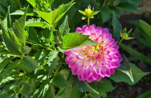 Kêr Neizh Breizh - Gîtes de Charme - Le Petit Châtelier - Foto 7