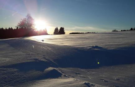 Ferienwohnung Hauptmann - Foto 25