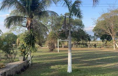 Estancia proximo Rio em Leverger - Foto 20