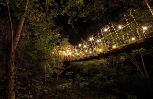 Fantastic Treehouse with Fire Pit and Hot-tub in Herod, Illinois - Foto 24