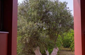 Red Castle - Photo 21