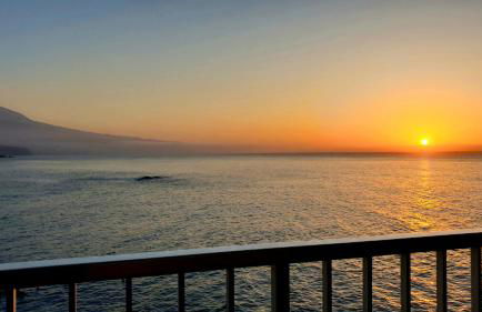 Crepúsculo - Foto 44