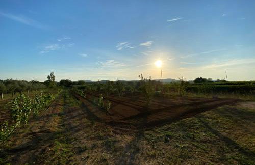 Stone Holiday Homes Stankovci with pool and Mediterranean gardens - Foto 39