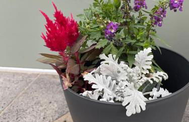 Mya Lenas Suite - Foto 23