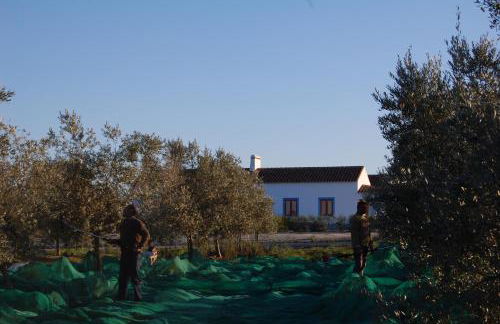 Herdade da Burquilheira Family Retreat - Foto 34