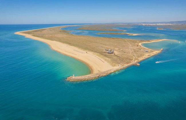 Deserta and Farol Islands Cruise - Photo 3