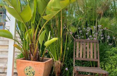 Villa Solar da Fonte - Foto 14