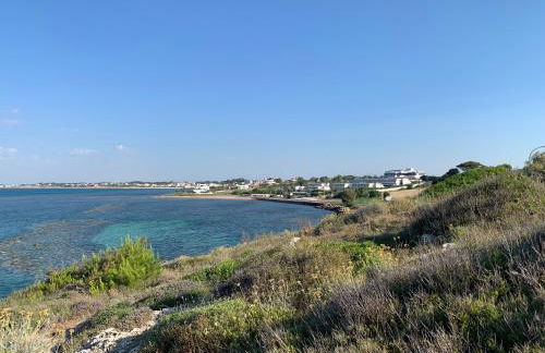 Salento Villa Cice, AC - WiFi - BBQ - attrezzatura da spiaggia - parcheggio privato sorvegliato, Due unità abitative indipendenti e giardino a due passi dal mare - Torre Ovo - Foto 59
