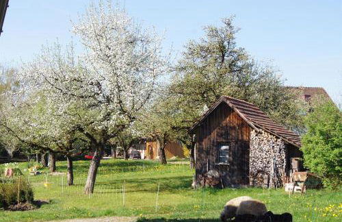 Ferienwohnung im Obstgarten - Foto 49