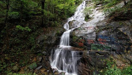 Pet-Friendly Accommodation for Two near World Equestrian Games, North Carolina - Foto 3