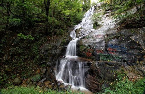 Unique Glamping Tent for Two near World Equestrian Games in Mill Spring, North Carolina - Foto 4