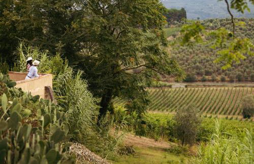 Boutique Wine Resort - Villa Dianella - Foto 10