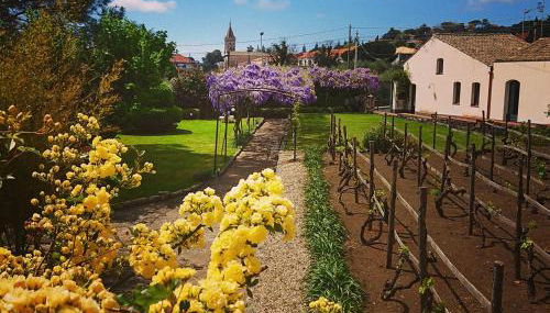 Villa Ninina nel Cuore del Parco dell’Etna x10 - Foto 3, Garden