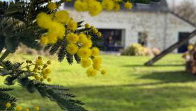 La grange d'Elise - Photo 2