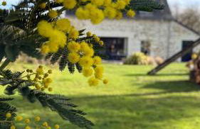 La grange d'Elise - Photo 2