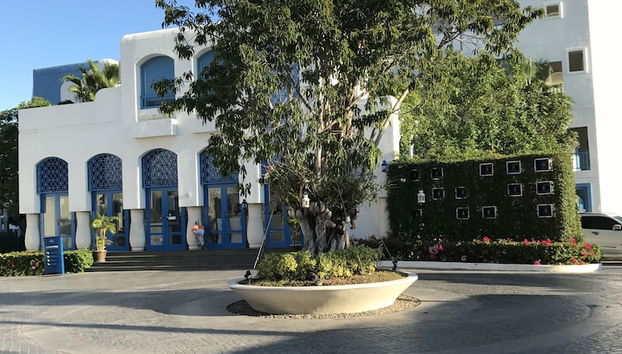 Check-in-/Check-out-Schalter