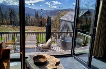 Czarne Domki Krempna z prywatnym jacuzzi - Foto 3