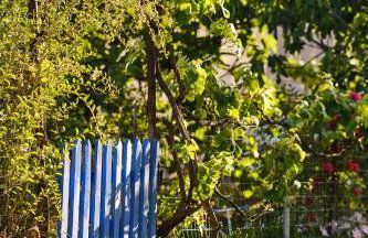 Villa Agathi - Foto 60