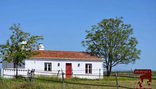 Monte da Boavista - Country family house - Foto 5
