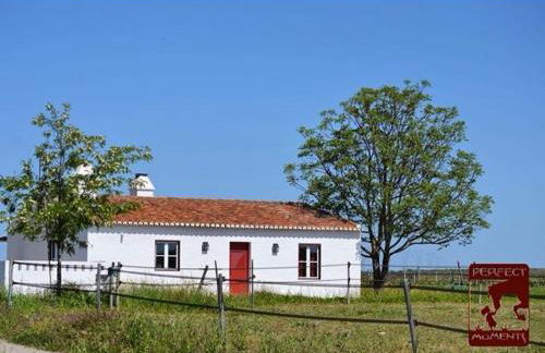 Monte da Boavista - Country family house - Foto 5