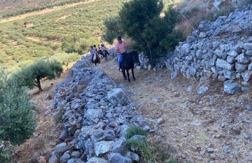 MENELAUS Stone House - Foto 36