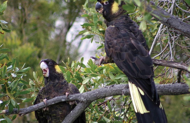 Adventure Bay Retreat - Photo 36