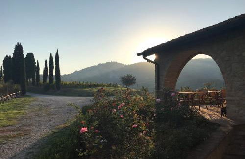 Agriturismo Podere Marcampo - Foto 33