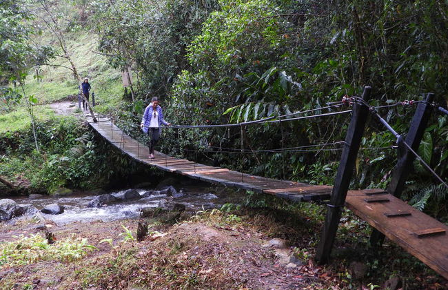Avistamiento de aves en la reserva Santa Rita - Foto 4