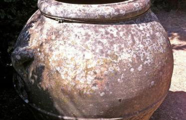 Agriturismo Il Palazzaccio - Foto 35