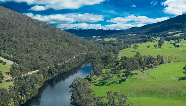 Excursion dans la vallée de Huon et aux grottes d'Hastings - Photo 5