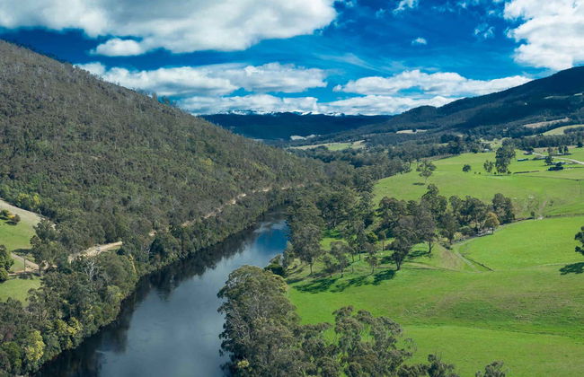 Excursion dans la vallée de Huon et aux grottes d'Hastings - Photo 5