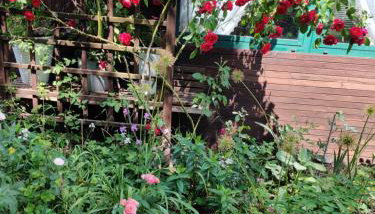 Różany Domek - Foto 3, Garden, Garden view