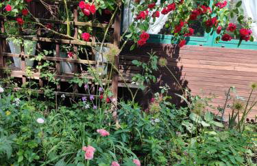 Różany Domek - Foto 3