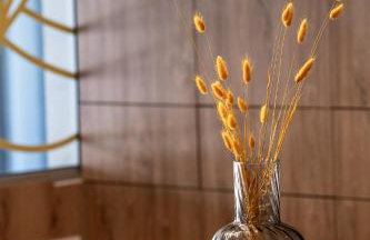 Nerium Apartments Leptokaria - Foto 8