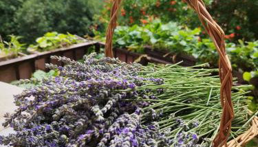 Apartment Zorka - Foto 4