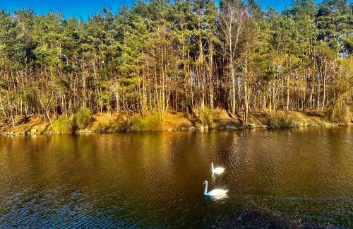 Mieszkania od 32-55m, pełne wyposażenie, komfortowe warunki - Foto 35