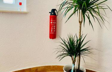 Villa Amica - Photo 4