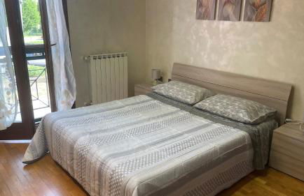 Rose e Frutta - Yellow Daisy - Foto 15